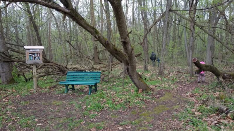 Rea Park - Royal Center, IN
