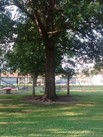 Rea Park - Royal Center, IN