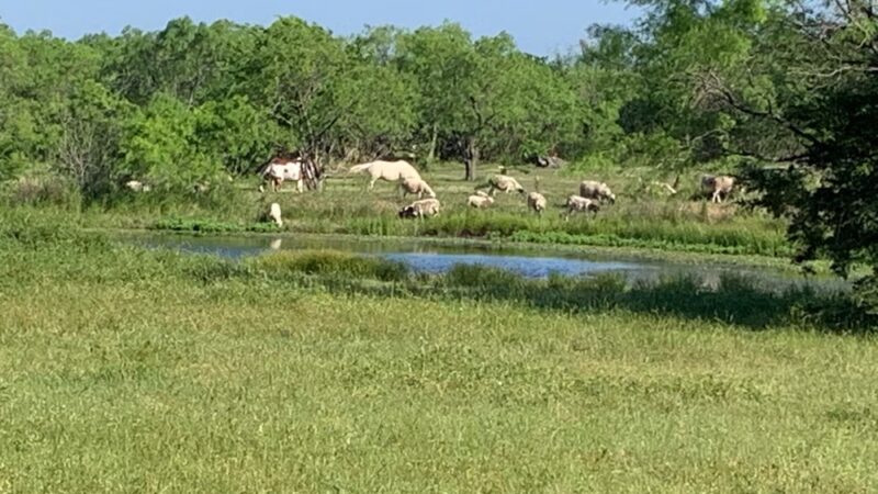 Royse City Rv Park - Royse City, TX