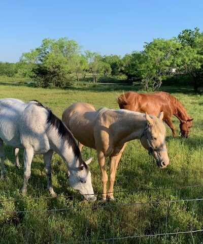Royse City Rv Park - Royse City, TX