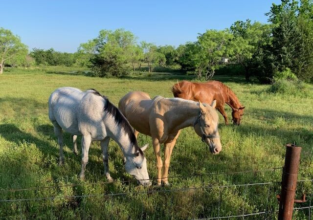 Royse City Rv Park - Royse City, TX