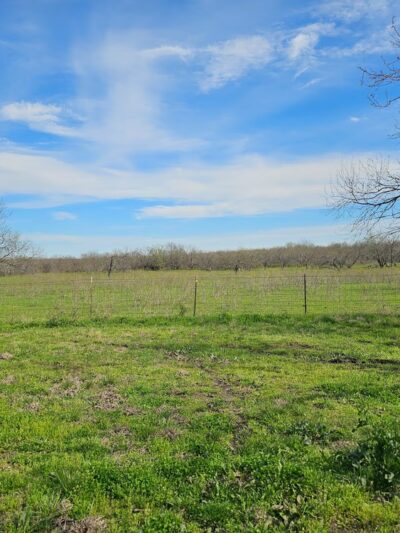 Royse City Rv Park - Royse City, TX