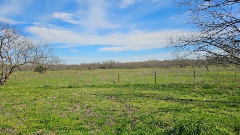 Royse City Rv Park - Royse City, TX