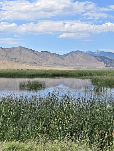 Ruby Lake National Wildlife Refuge - Ruby Valley, NV