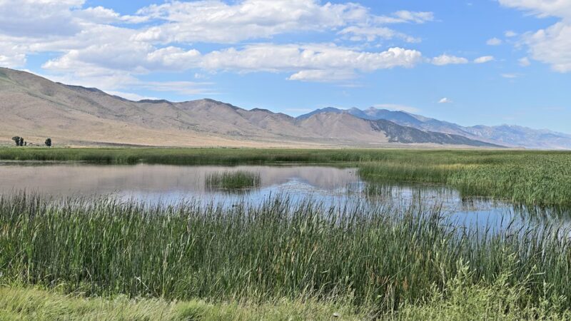 Ruby Lake National Wildlife Refuge - Ruby Valley, NV