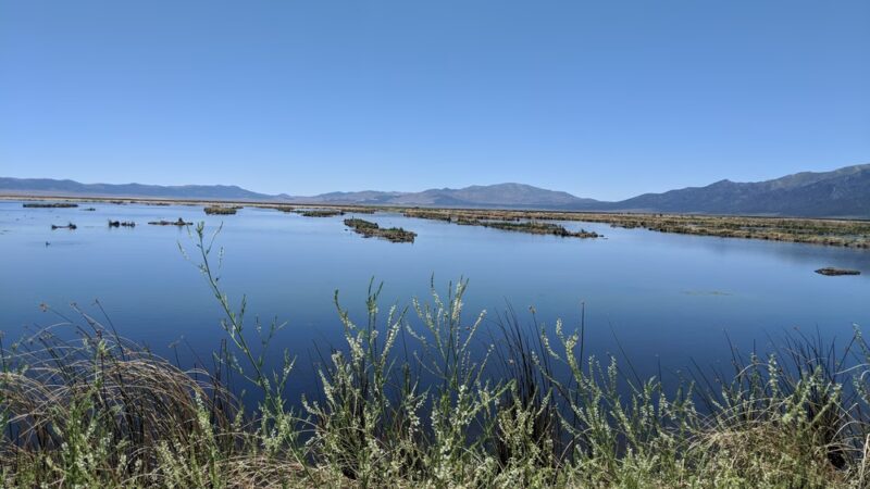 Ruby Lake National Wildlife Refuge - Ruby Valley, NV