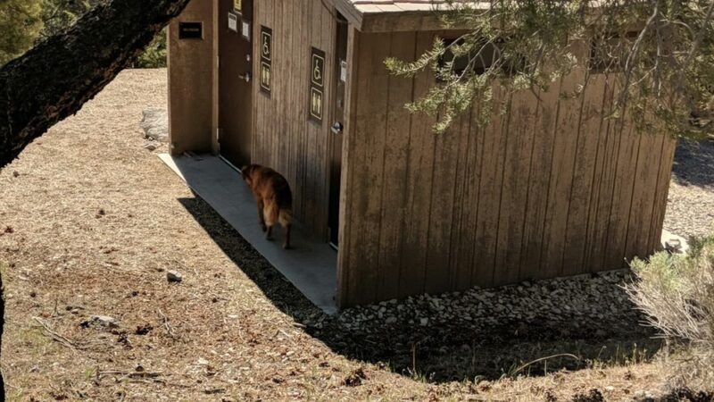 South Ruby Lake Campground - Ruby Valley, NV