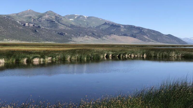 South Ruby Lake Campground - Ruby Valley, NV