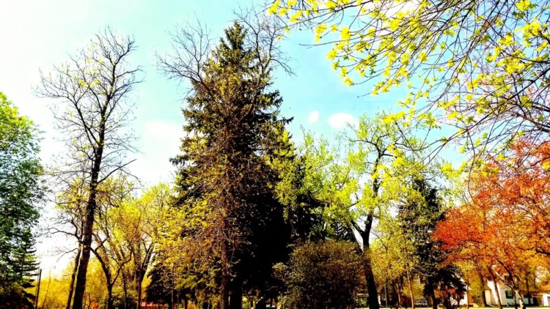 Ellery Park - Rugby, ND