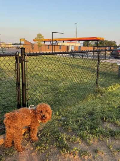 Dog Park at Love's Travel Stops - Rural Hall, NC
