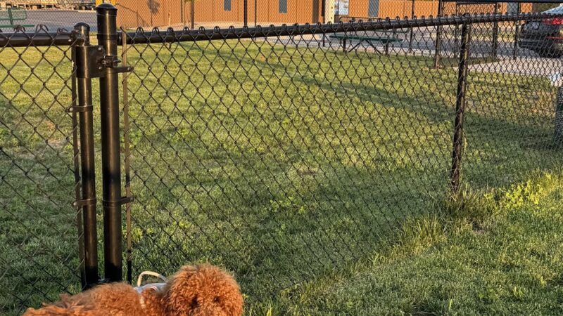 Dog Park at Love's Travel Stops - Rural Hall, NC