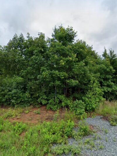 Dog Park at Love's Travel Stops - Rural Hall, NC