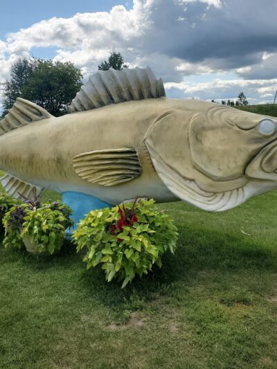 Rush City Park - Rush City, MN