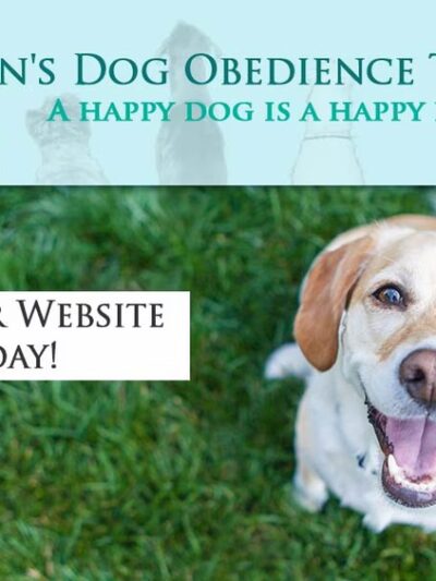 E-DOT LLC - Rush, NY