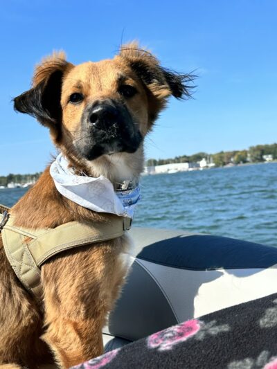 E-DOT LLC - Rush, NY