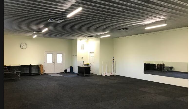 E-DOT LLC - Rush, NY
