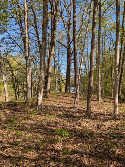 Hundred Acres Nature Park - Rush, NY