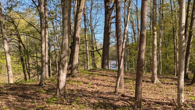 Hundred Acres Nature Park - Rush, NY