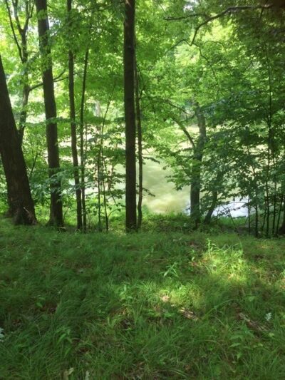 Hundred Acres Nature Park - Rush, NY