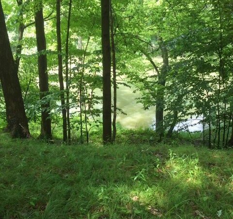 Hundred Acres Nature Park - Rush, NY