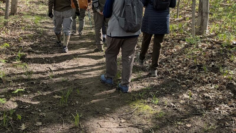 Hundred Acres Nature Park - Rush, NY