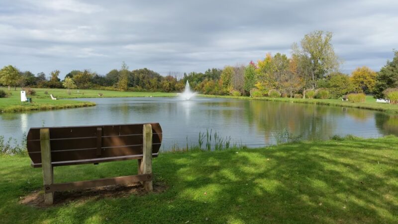 Martin Road Park - Rush, NY
