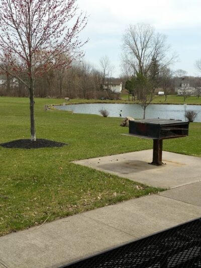 Martin Road Park - Rush, NY