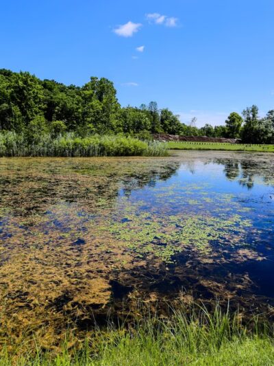 Stonybrook Road Park - Rush, NY