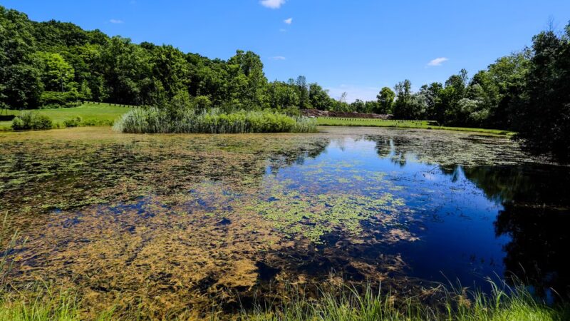 Stonybrook Road Park - Rush, NY