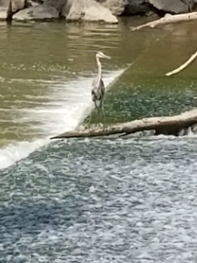 Veterans Memorial Park - Rush, NY