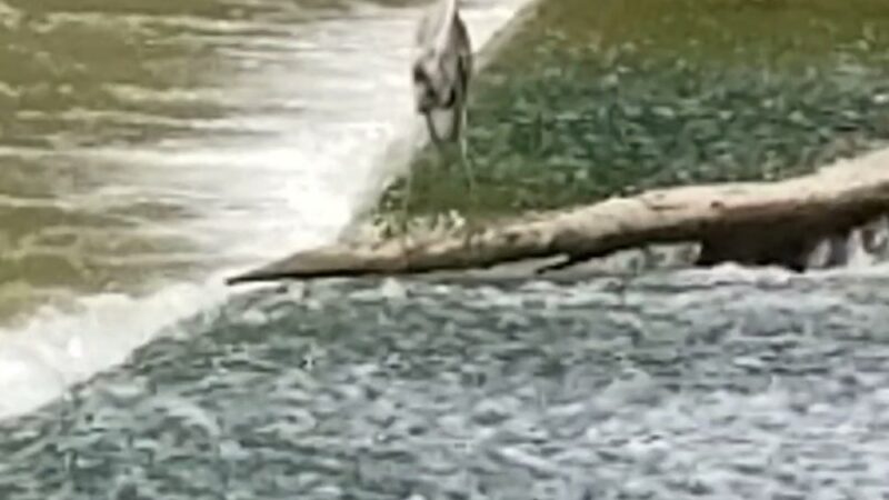 Veterans Memorial Park - Rush, NY