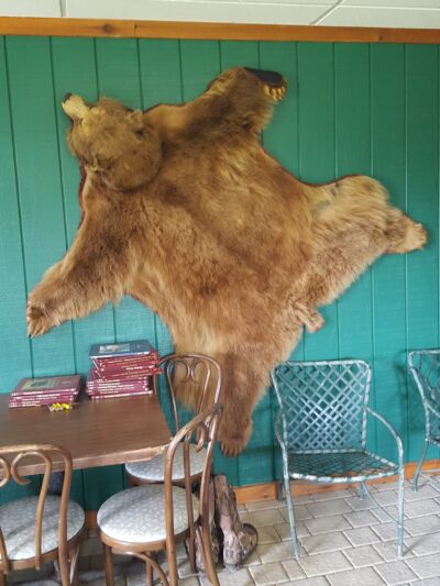 Indian Village Park - Rushville, NY