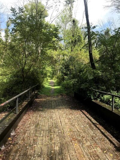 Moody Hiking Trail - Rushville, NY