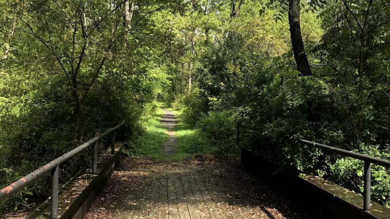 Moody Hiking Trail - Rushville, NY