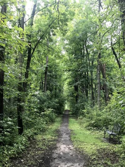 Moody Hiking Trail - Rushville, NY
