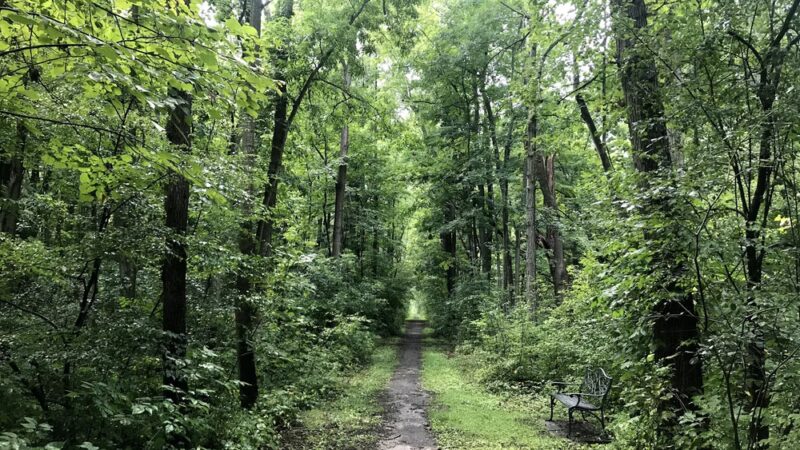 Moody Hiking Trail - Rushville, NY