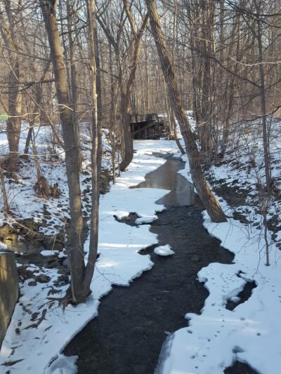 Moody Hiking Trail - Rushville, NY