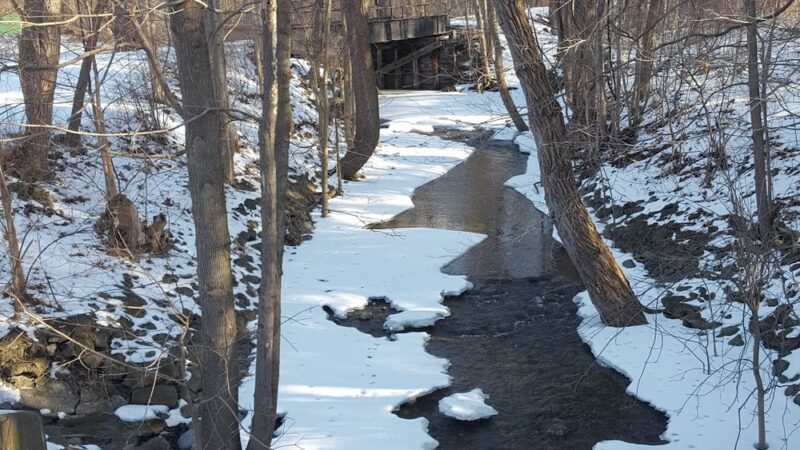 Moody Hiking Trail - Rushville, NY