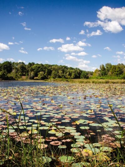 Rusk Park - Rusk, TX