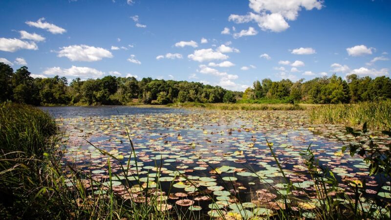 Rusk Park - Rusk, TX