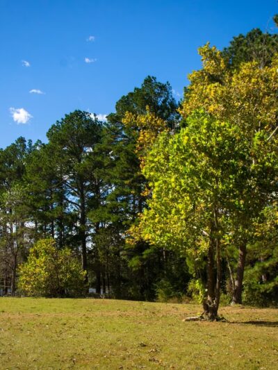 Rusk Park - Rusk, TX