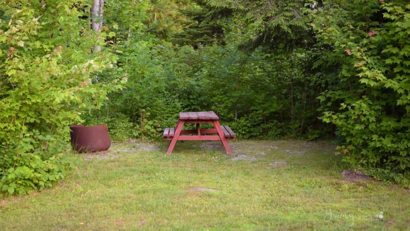 Countryside Campground - Ryegate, VT