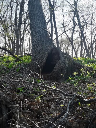 Hagge County Park - Sac City, IA