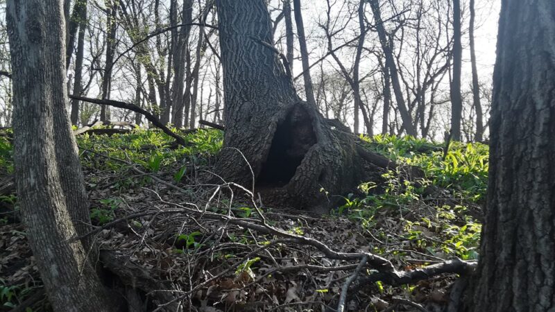 Hagge County Park - Sac City, IA