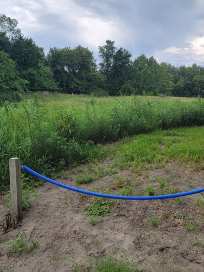 Riverside Park - Sac City, IA