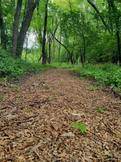 Riverside Park - Sac City, IA