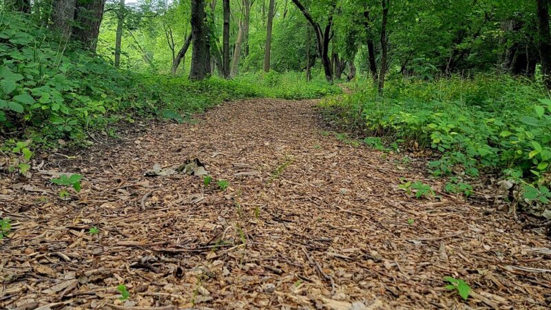 Riverside Park - Sac City, IA