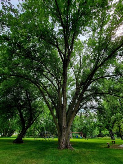 Riverside Park - Sac City, IA
