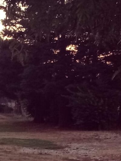 Toby Johnson Park - Sacramento, CA