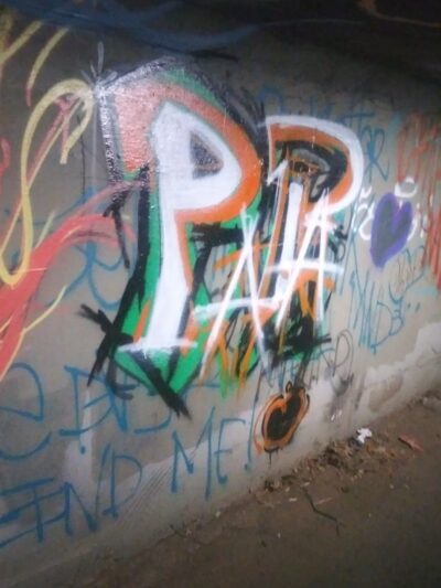 Woody Hampton Park - Sacramento, CA